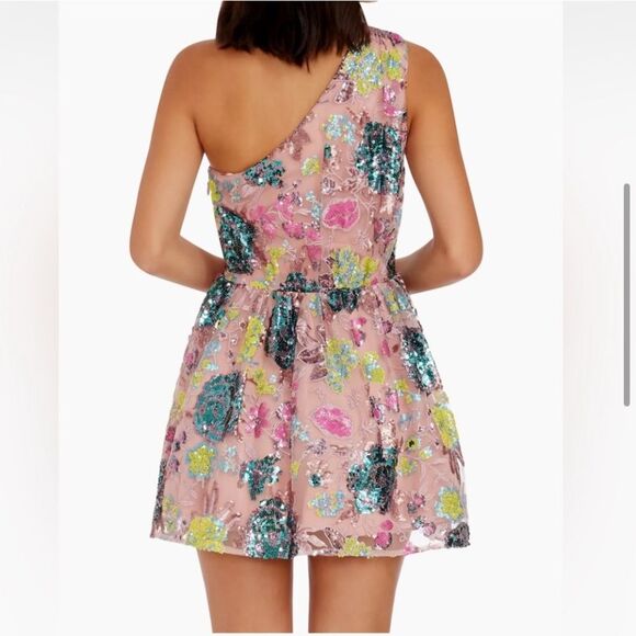Nwt Delaney Dress
DRESS THE POPULATION  Floral Blush One-Shoulder Mini Dress - Picture 2 of 9